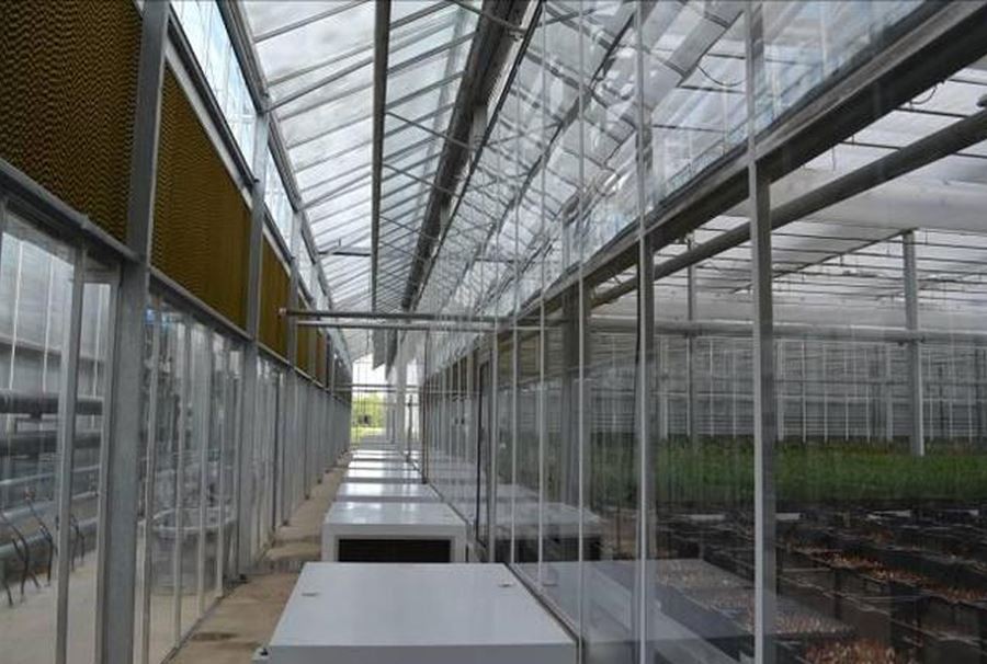glass greenhouse Canada