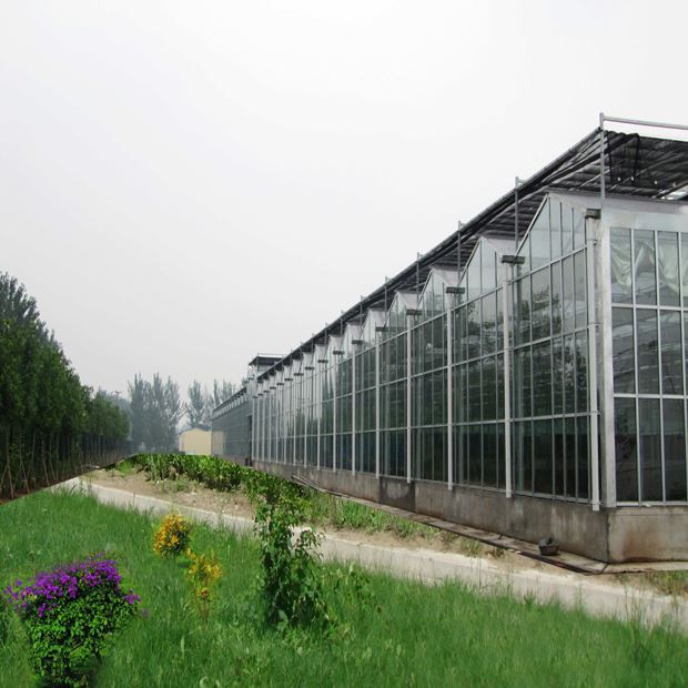There will be five major trends in the future of agriculture