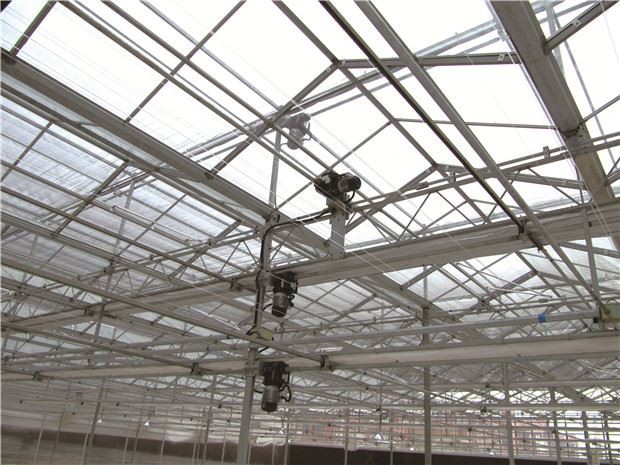 Glass Greenhouse