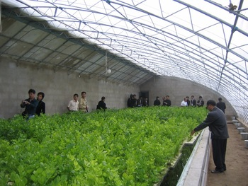 The difference between heating solar greenhouse pr