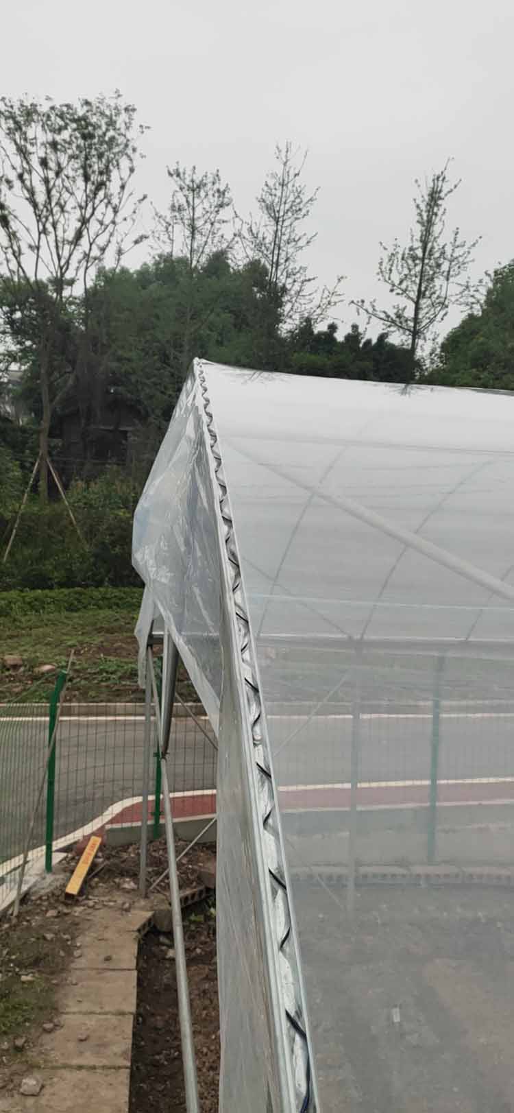 cultivated in a greenhouse