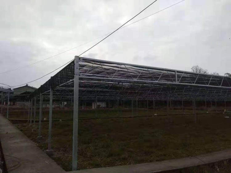 What factors affect the structure of the electroplating layer of the seedbed net