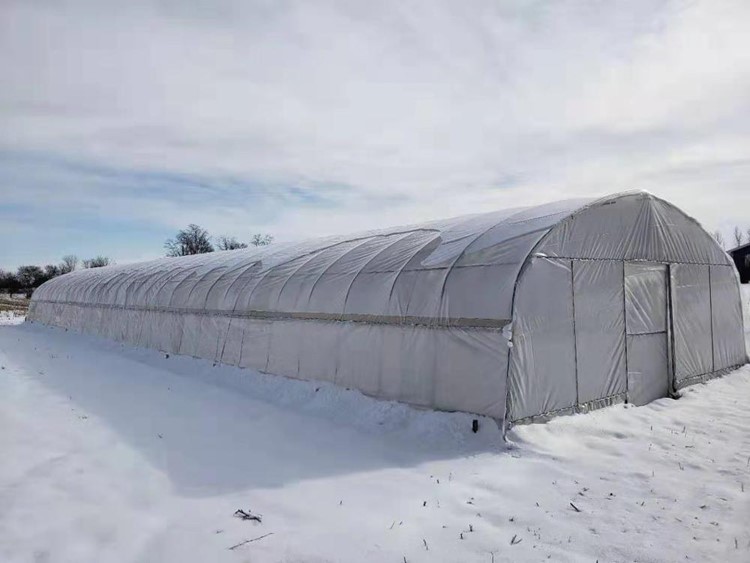 The main points of vegetable cultivation in greenhouse