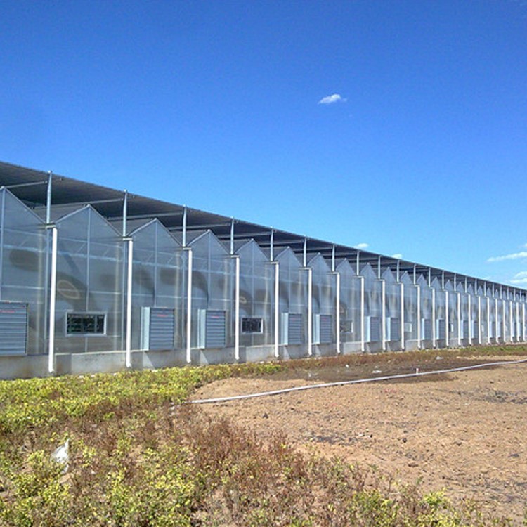 PVC frame greenhouse PVC frame greenhouse