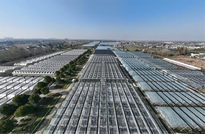 Is the smart glass greenhouse reliable Is the smart glass greenhouse reliable